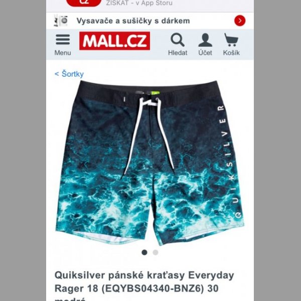 Panské koupací šortky Quiksilver